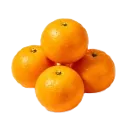 沃柑