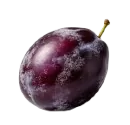 西梅