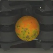虫斑
