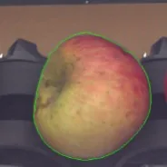 果锈