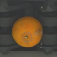 灰斑