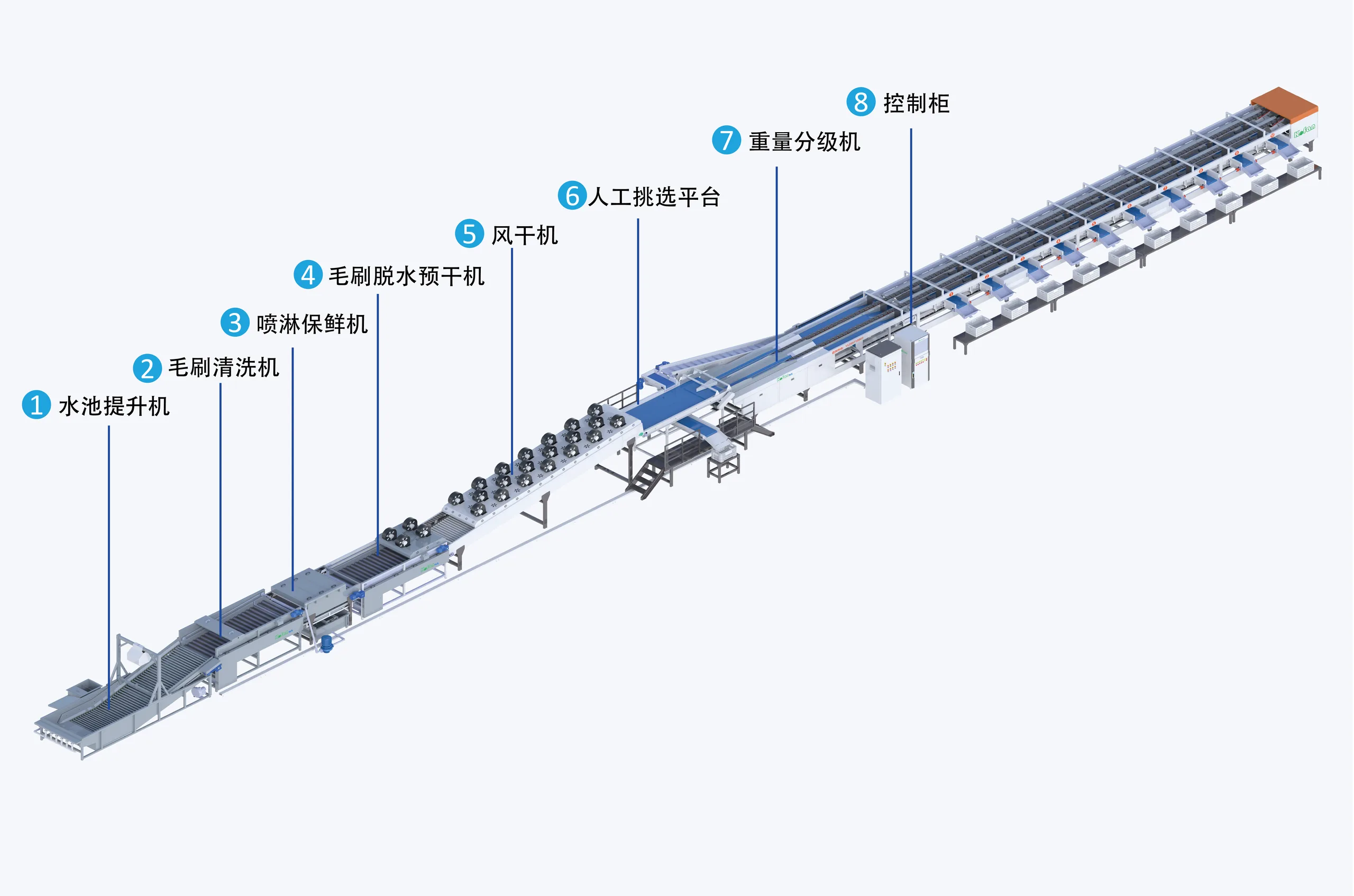 科凡果蔬分选设备展示
