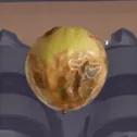 腐烂