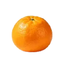 脐橙