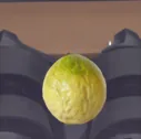 皱皮