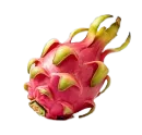 火龙果