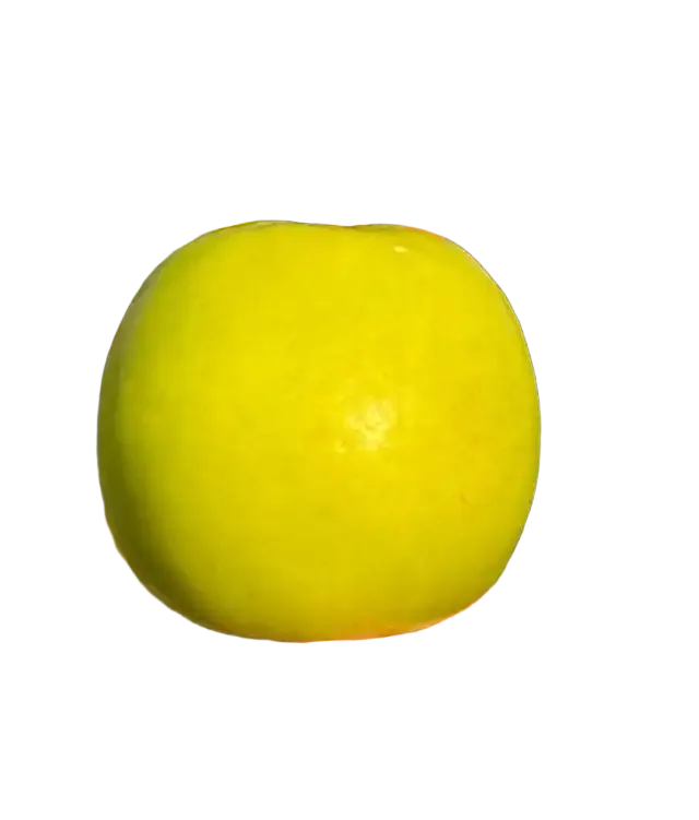 苹果枣