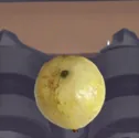 虫眼